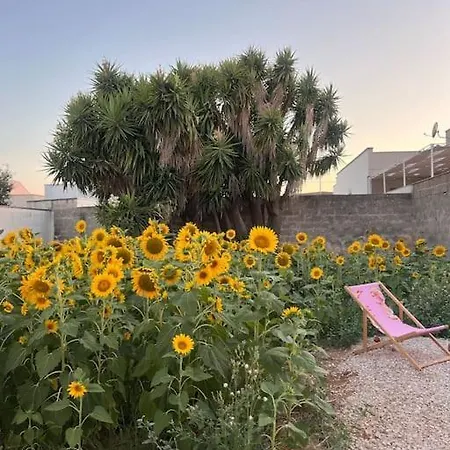 Casecchia Holiday home